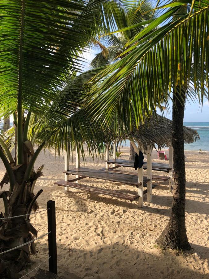 Brin D'Ile Anse Des Rochers Vue Mer A 50 M De La Plage Et Piscine Saint-Francois  Buitenkant foto