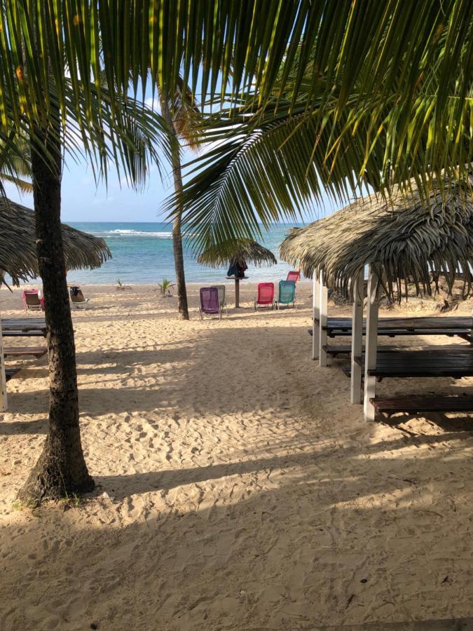 Brin D'Ile Anse Des Rochers Vue Mer A 50 M De La Plage Et Piscine Saint-Francois  Buitenkant foto