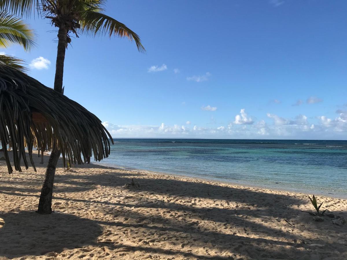 Brin D'Ile Anse Des Rochers Vue Mer A 50 M De La Plage Et Piscine Saint-Francois  Buitenkant foto