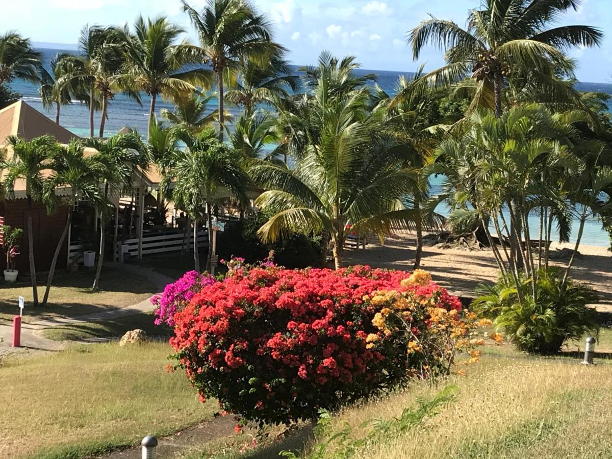 Brin D'Ile Anse Des Rochers Vue Mer A 50 M De La Plage Et Piscine Saint-Francois  Buitenkant foto
