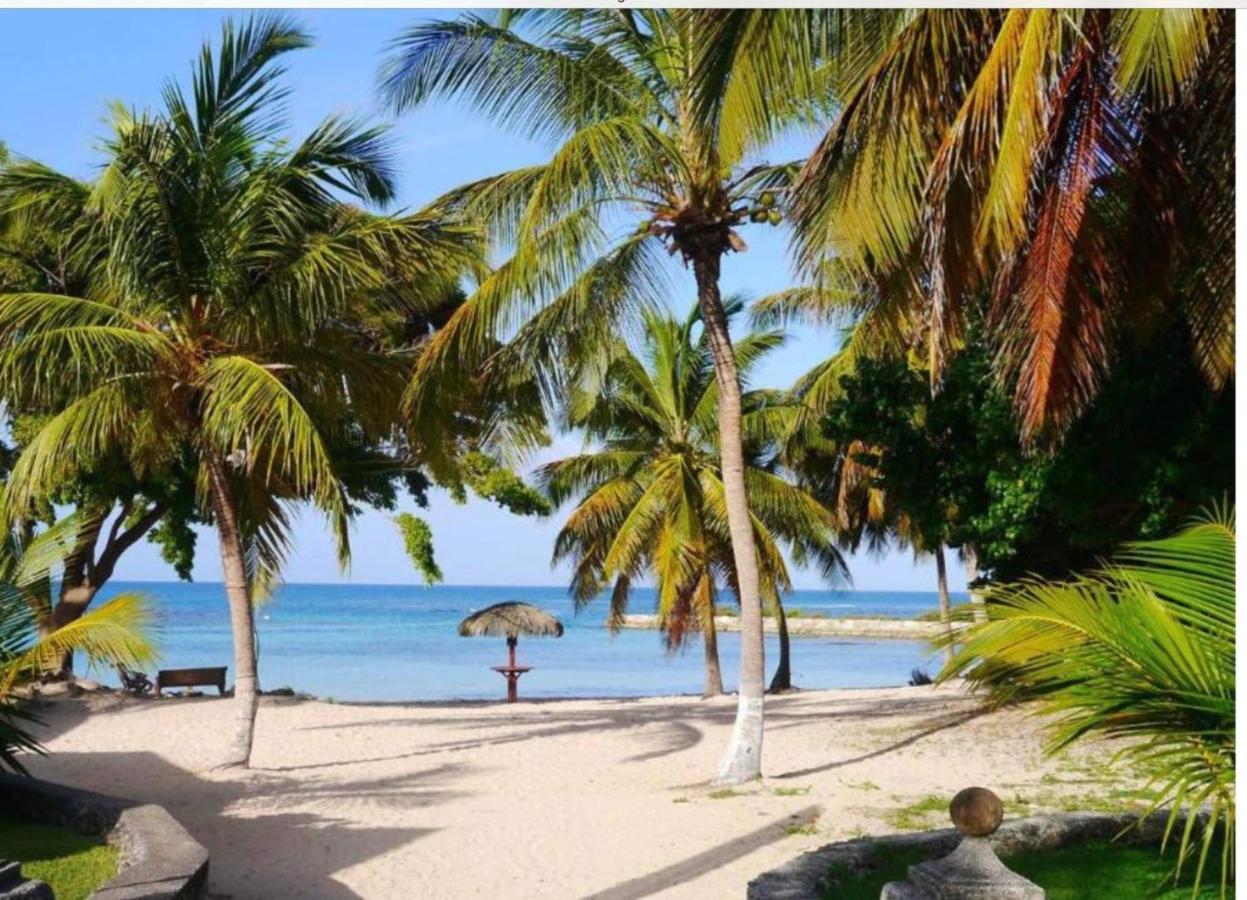 Brin D'Ile Anse Des Rochers Vue Mer A 50 M De La Plage Et Piscine Saint-Francois  Buitenkant foto