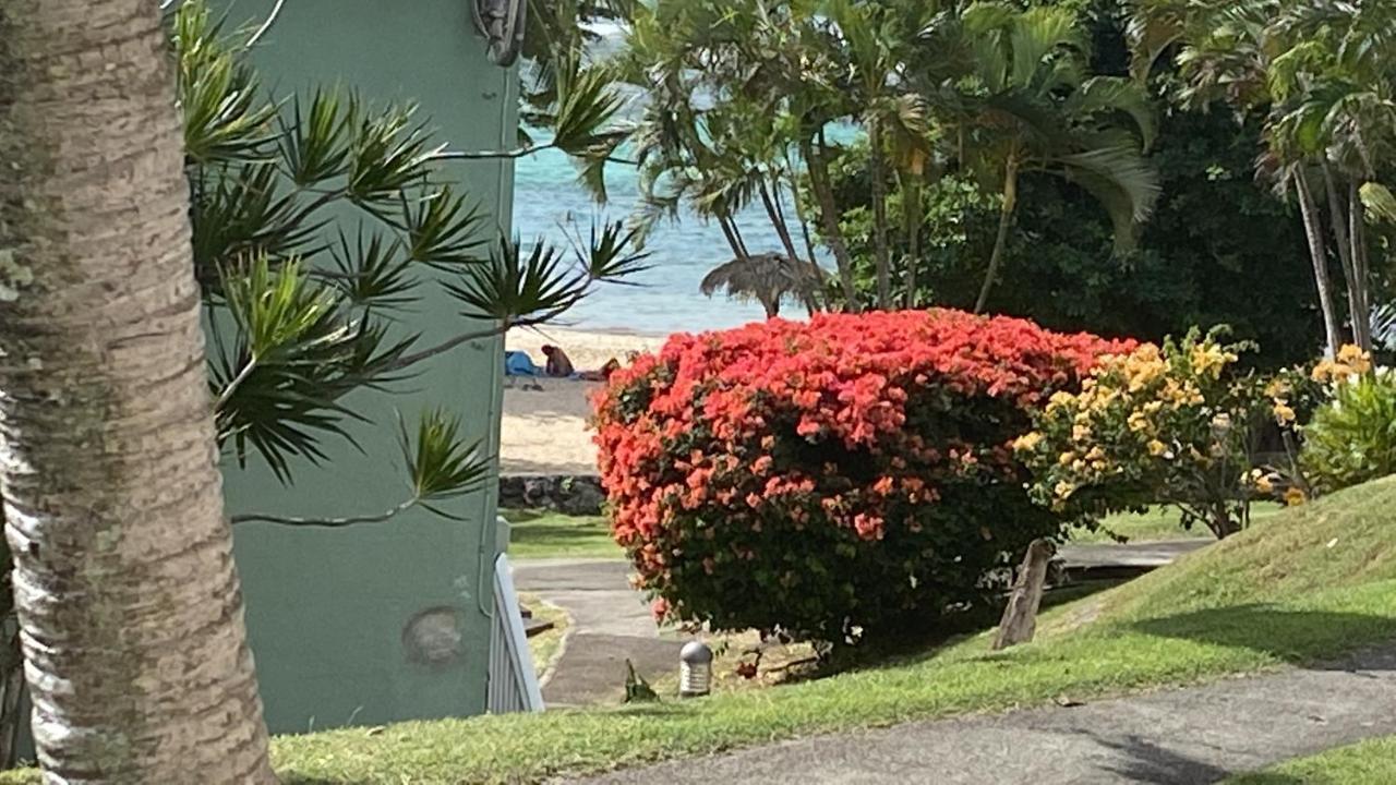 Brin D'Ile Anse Des Rochers Vue Mer A 50 M De La Plage Et Piscine Saint-Francois  Buitenkant foto