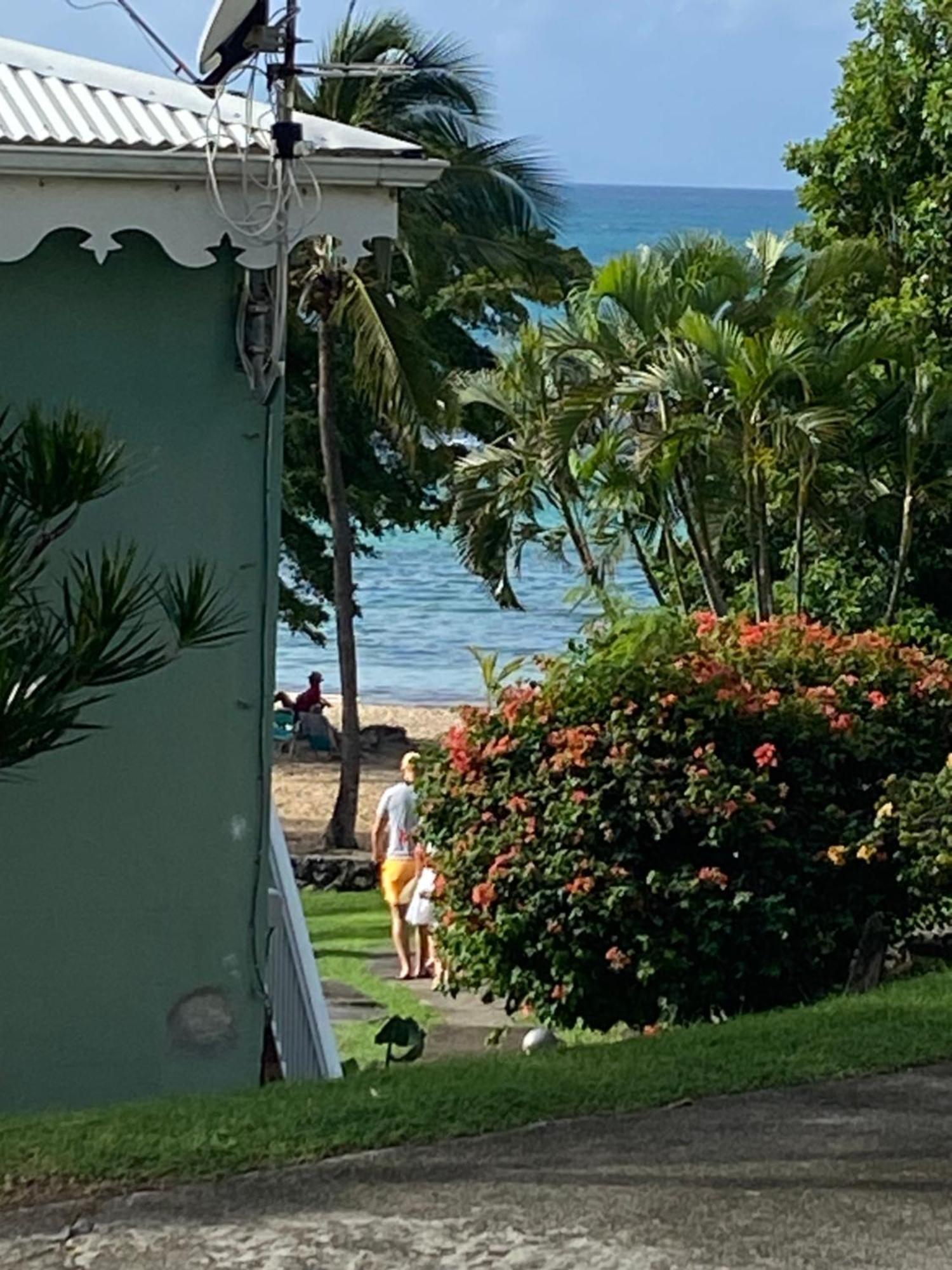 Brin D'Ile Anse Des Rochers Vue Mer A 50 M De La Plage Et Piscine Saint-Francois  Buitenkant foto