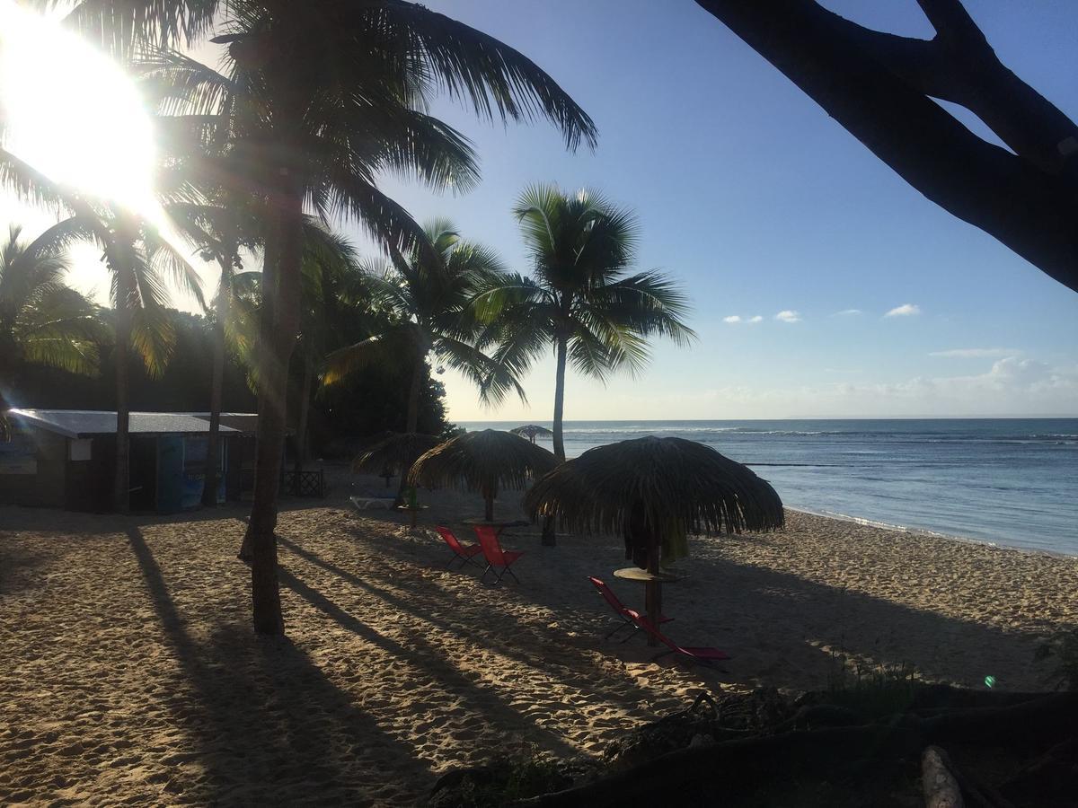 Brin D'Ile Anse Des Rochers Vue Mer A 50 M De La Plage Et Piscine Saint-Francois  Buitenkant foto