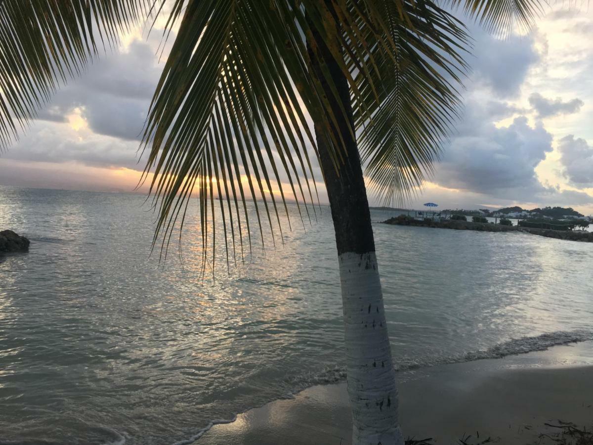 Brin D'Ile Anse Des Rochers Vue Mer A 50 M De La Plage Et Piscine Saint-Francois  Buitenkant foto