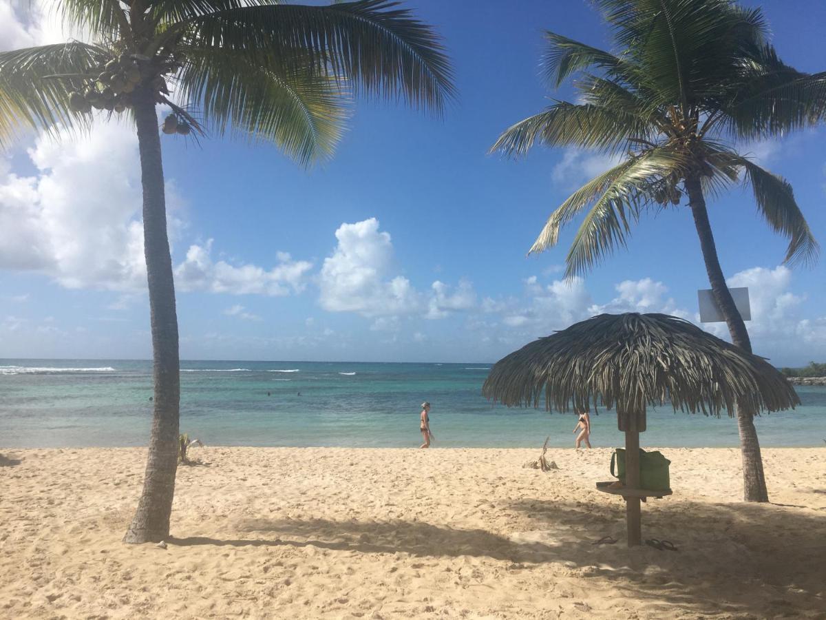 Brin D'Ile Anse Des Rochers Vue Mer A 50 M De La Plage Et Piscine Saint-Francois  Buitenkant foto
